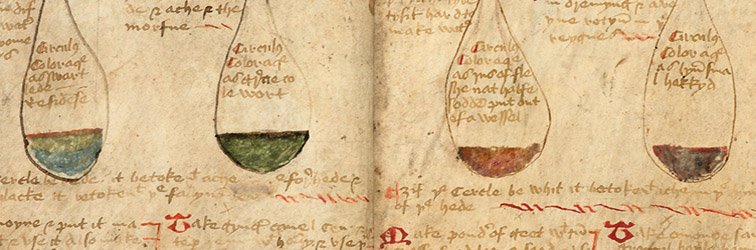 Image of The Twenty Jordans, MS, Ashmole 1413 Close-up of The Twenty Jordans