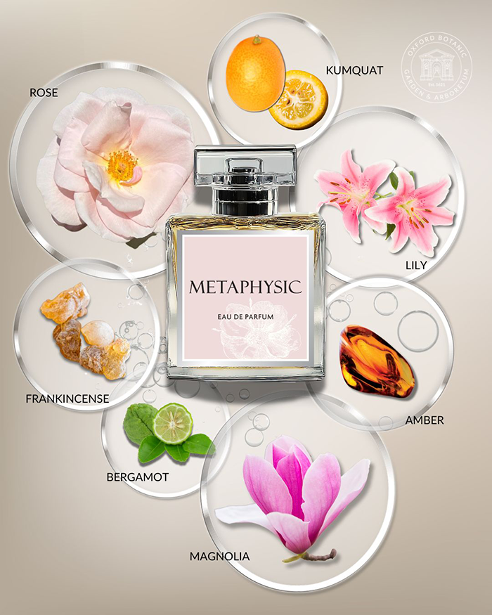 The Metaphysic perfume bottle surrounded by images of the different perfume notes - kumquat, lily, amber, magnolia, bergamot, frankincense, and rose.