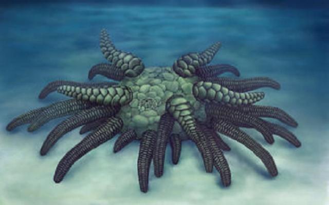 Life reconstruction of Sollasina cthulhu