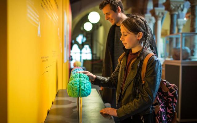 Visitors engaging with 3D printed brains