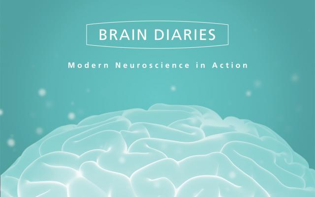 Brain Diaries exhibition poster
