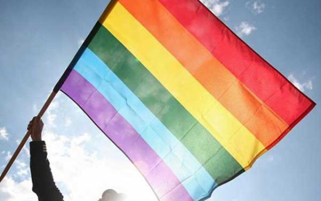 A person waving the LGBT Pride flag