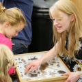 Staff member showing children animal specimens 