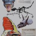 Sketchbook page of dinosaurs