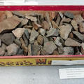 old stone tools in a mustard box