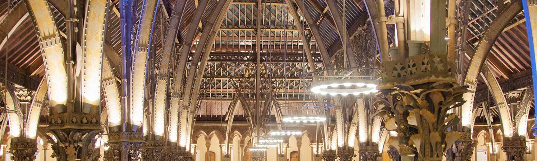 Museum of Natural History interior view of roof with lighting