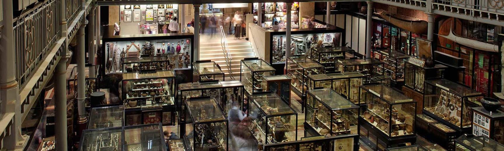 Gallery View, Pitt Rivers Museum