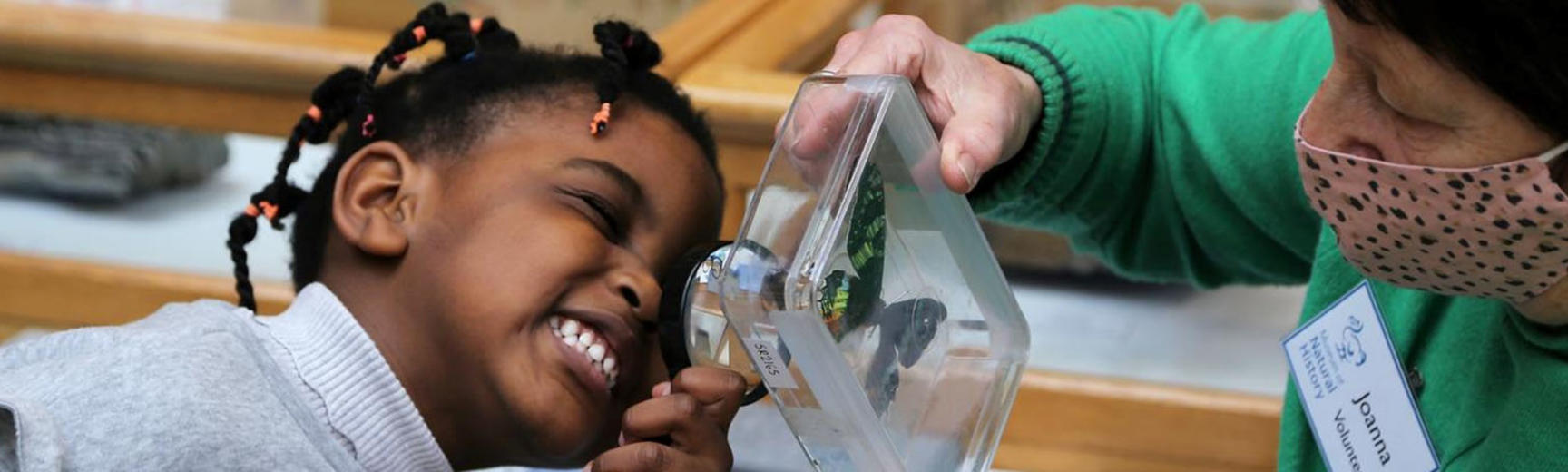 A volunteer holds a box containing a butterfly specimen, being examined by a young child with a magnifying glass.  