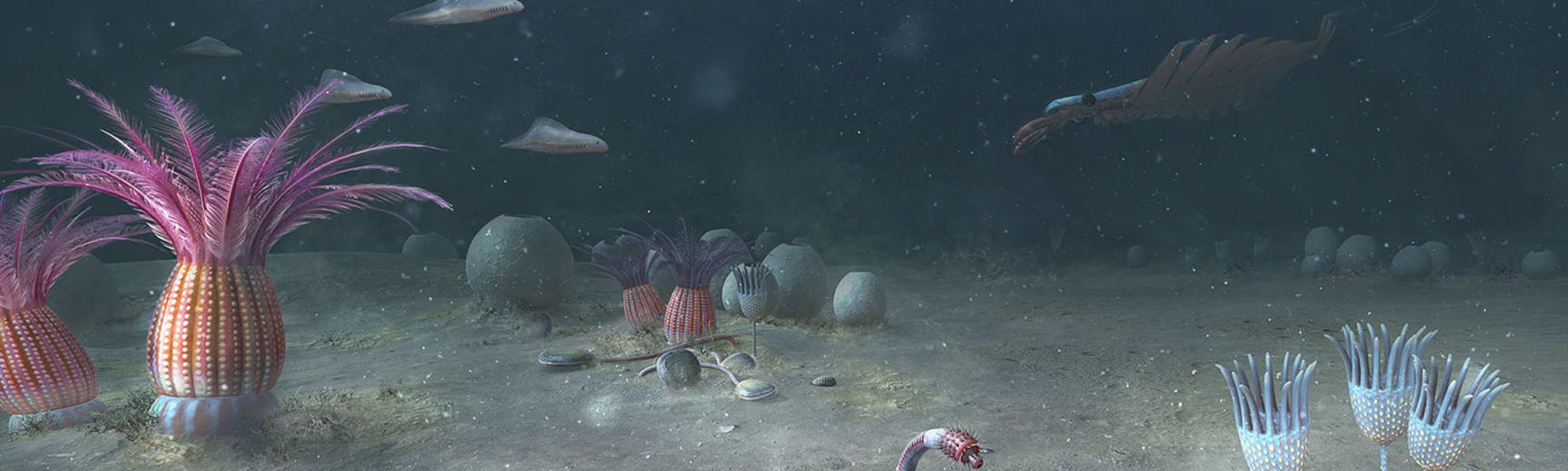 Artist's impression of an Ediacaran sea floor from over 500 million years ago.