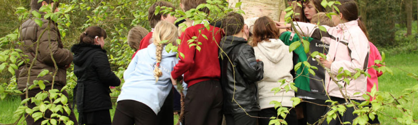 School visit to the Harcourt Arboretum