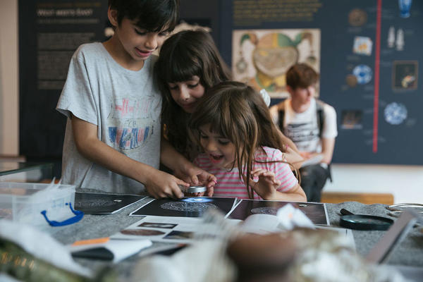 Children engaging with archaeology activity