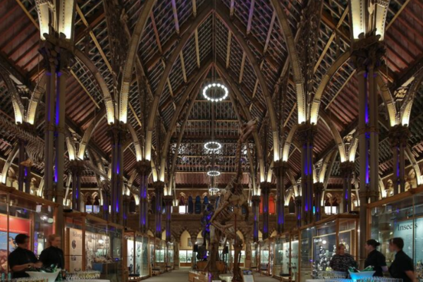 Main court of Museum of Natural History
