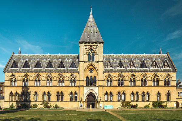 The Neo-Gothic Museum of Natural History, featuring golden stone and slate-grey roof tiles. 