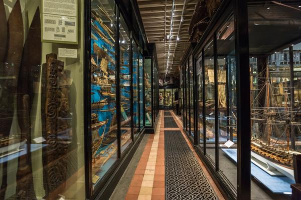 Display cases at the Pitt Rivers Museum