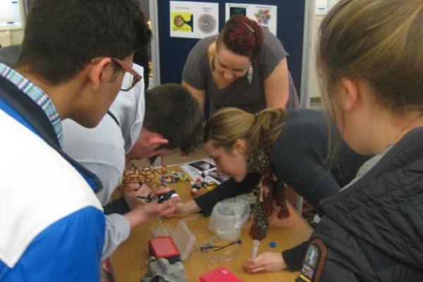 Students engaged in activities as part of Back from the Dead exhibition and programme