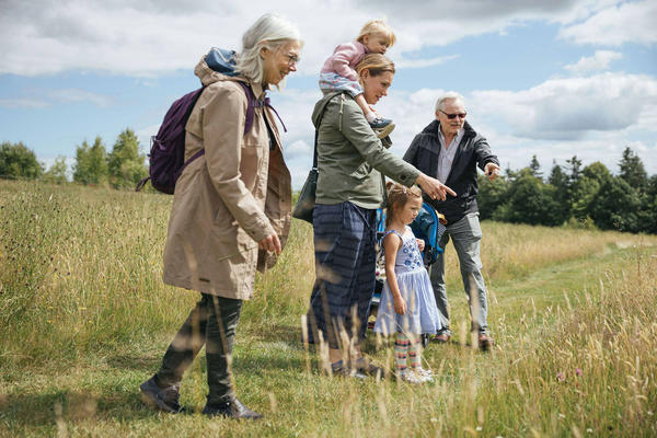 Three adults and two children look excitedly at long grass dotted with wildflowers. 
