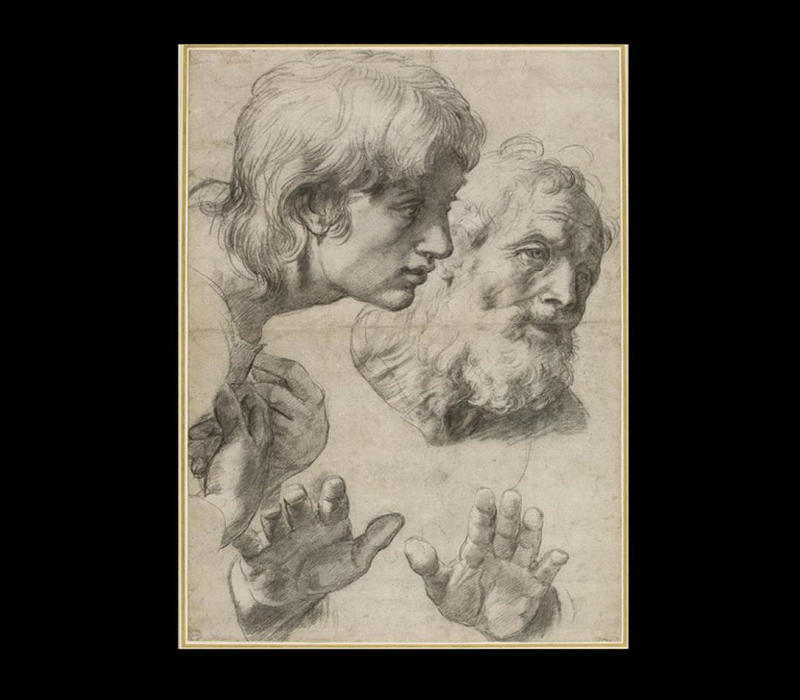 Raphael drawing