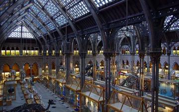 Interior view of the Main Gallery at the Museum of Natural History