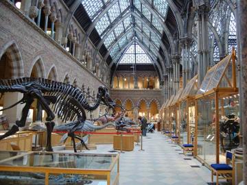 Interior view of Main Gallery at the Museum of Natural History