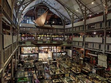 Gallery View, Pitt Rivers Museum