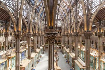 Main court, Museum of Natural History Museum of Natural History inside