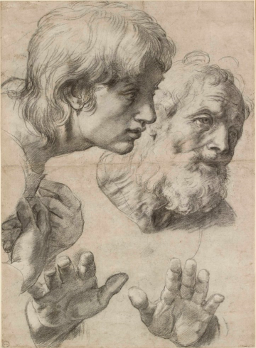 Raphael: The Drawings  Gardens, Libraries & Museums