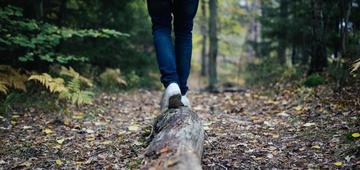 Forest Bathing