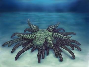 Life reconstruction of Sollasina cthulhu. (c)Elissa Martin, Yale Peabody Museum of Natural History. Life reconstruction of Sollasina cthulhu. (c)Elissa Martin, Yale Peabody Museum of Natural History.
