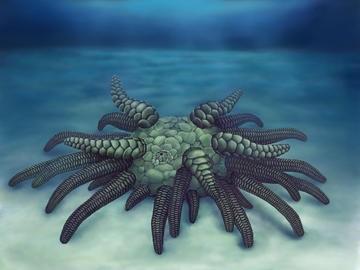 Life reconstruction of Sollasina cthulhu