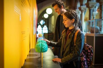Visitors engaging with 3D printed brains
