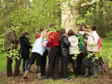 School visit to the Harcourt Arboretum