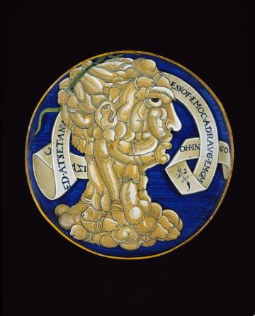 Dish with a composite head of penises