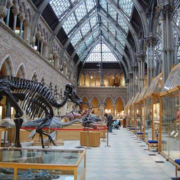 Interior view of Main Gallery at the Museum of Natural History