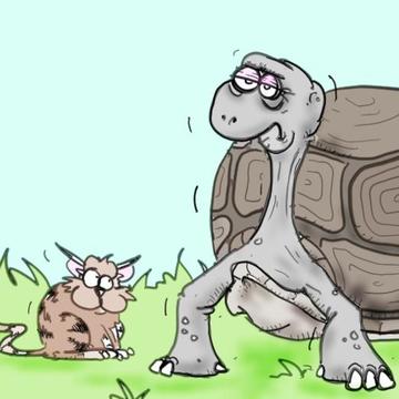 The Ageing Game illustration