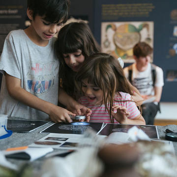 Ashmolean festival of archaeology 2018 by Ian Wallman