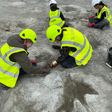 dewars farm dinosaur excavation image credit emma nicholls oumnh2