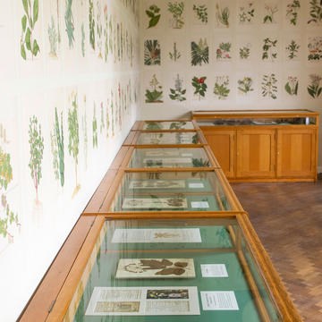 Thinking 3D: Flower to Frame @ Herbarium, Oxford Botanic Garden