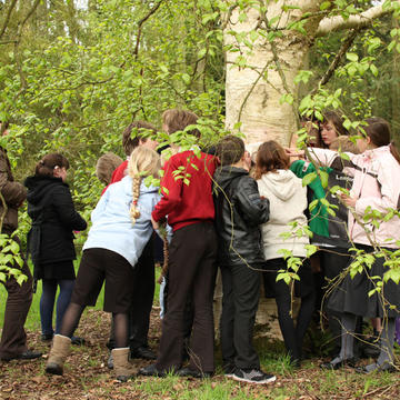 Oxford Botanic Garden, school visit to the Arboretum