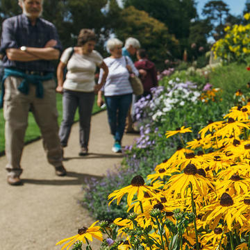 Border in Oxford Botanic Garden (credit Ian Wallman)