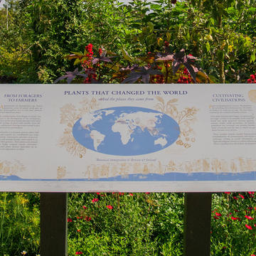 Plants that Changed the World panel, Oxford Botanic Garden