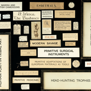 Examples of problematic old labels in the Pitt Rivers Museum