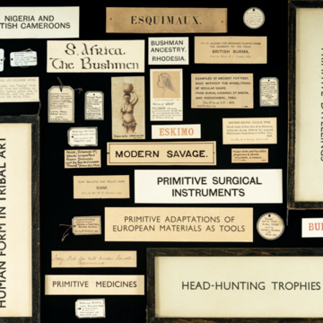 Examples of problematic old labels in the Pitt Rivers Museum
