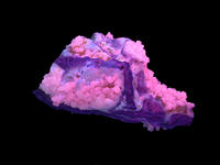 a specimen of Aragonite on a black background, pictured with its crystals glowing fluorescent pink and purple under UV light.
