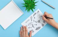 a succulent plant on a blue table and a piece of paper with someone drawing lots of small illustrations of plants.