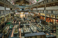 Pitt Rivers Museum Main Court 