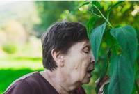 Image shows a person with dark hair and wearing a purple t-shirt, outside and smelling leaves on a low hanging tree branch.