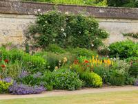 Botanical Drawings Image. Photograph of foliage and bright flowers in a flowerbed against a stone wall of the Botanic Garden.
