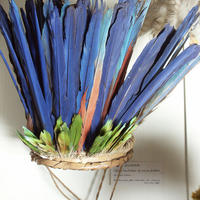 Feather headdress, Guyana, Pitt Rivers Museum