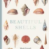 Front cover of the book Beautiful Shells, featuring a selection of hand-drawn shells. 