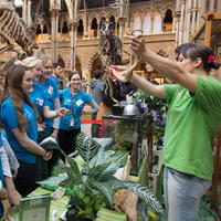 A group of young people being shown a museum object